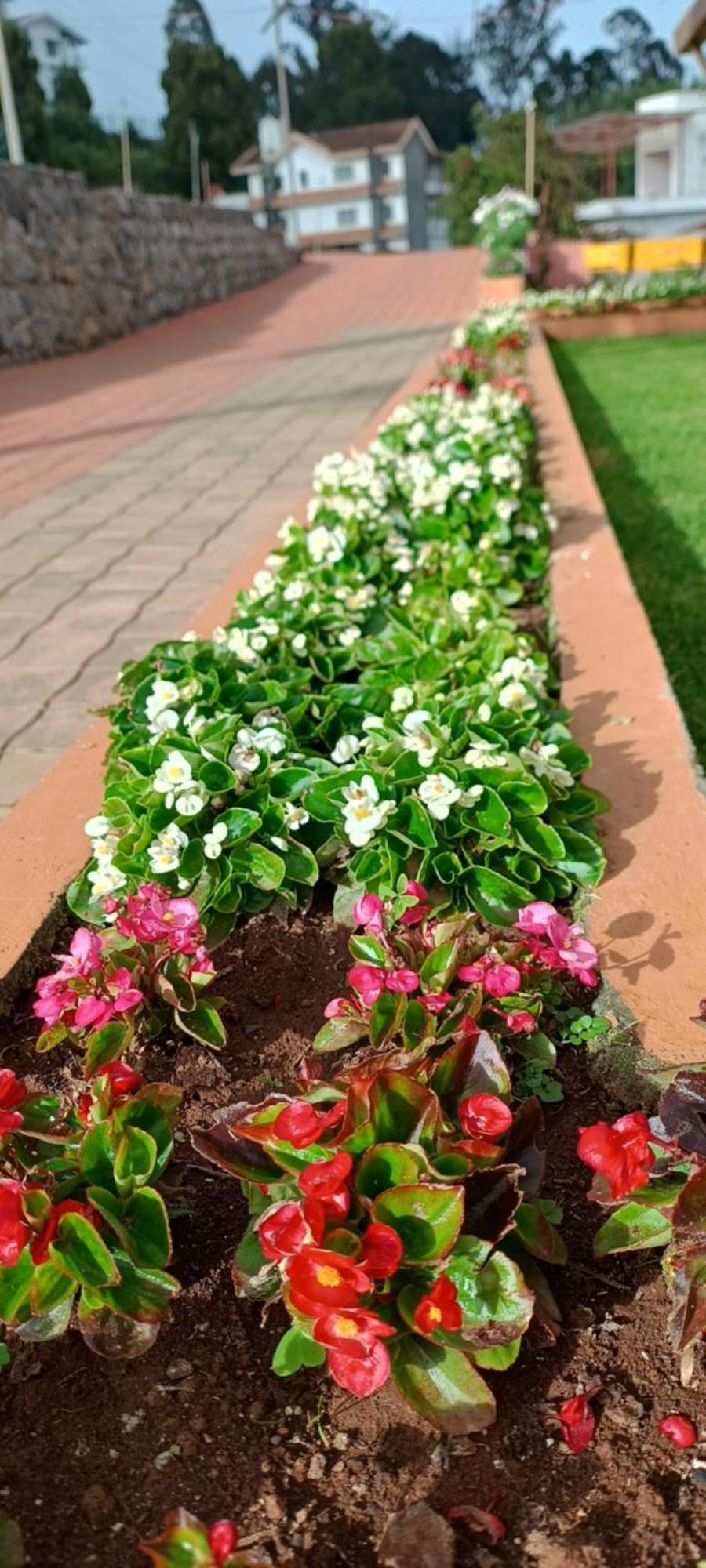 Yantra Resort By Spree Ooty Eksteriør billede